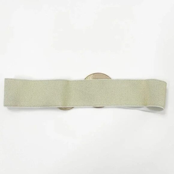 NEW Elastic Wide Corset Safe Waist Belt Metallic Snap Buckle Beige Cinch… - Picture 11 of 12